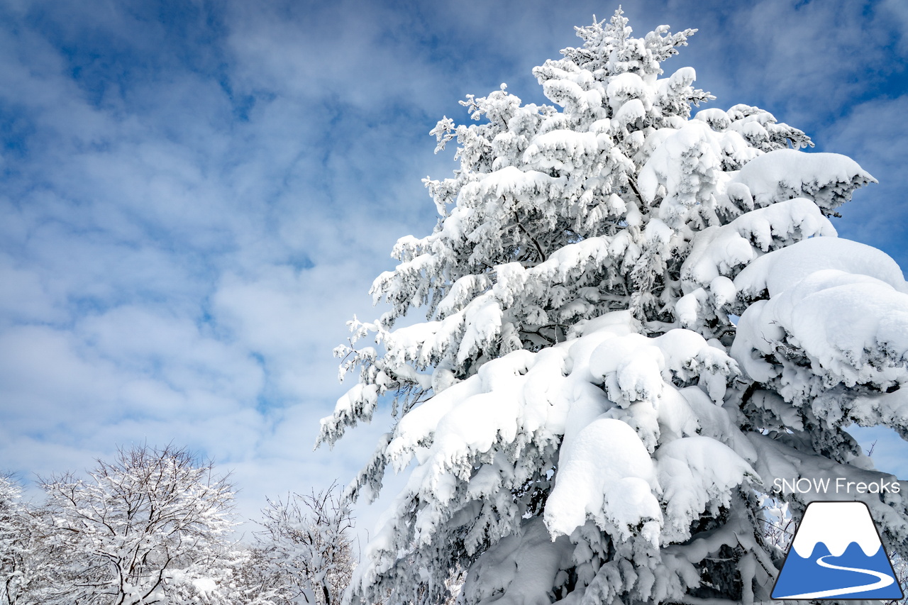 ぴっぷスキー場｜旭川紋別自動車道・比布北インターを降りたら約３分で到着。良質な雪、多彩なコース、抜群の眺望、美味しいグルメ、アフタースキーに温泉も。。。とっても高い満足度を誇るローカルゲレンデを滑ります(^^)/